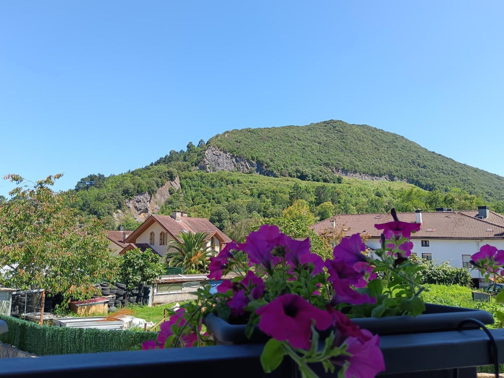 Urdaibai Mungabe Apartment Busturia Bagian luar foto
