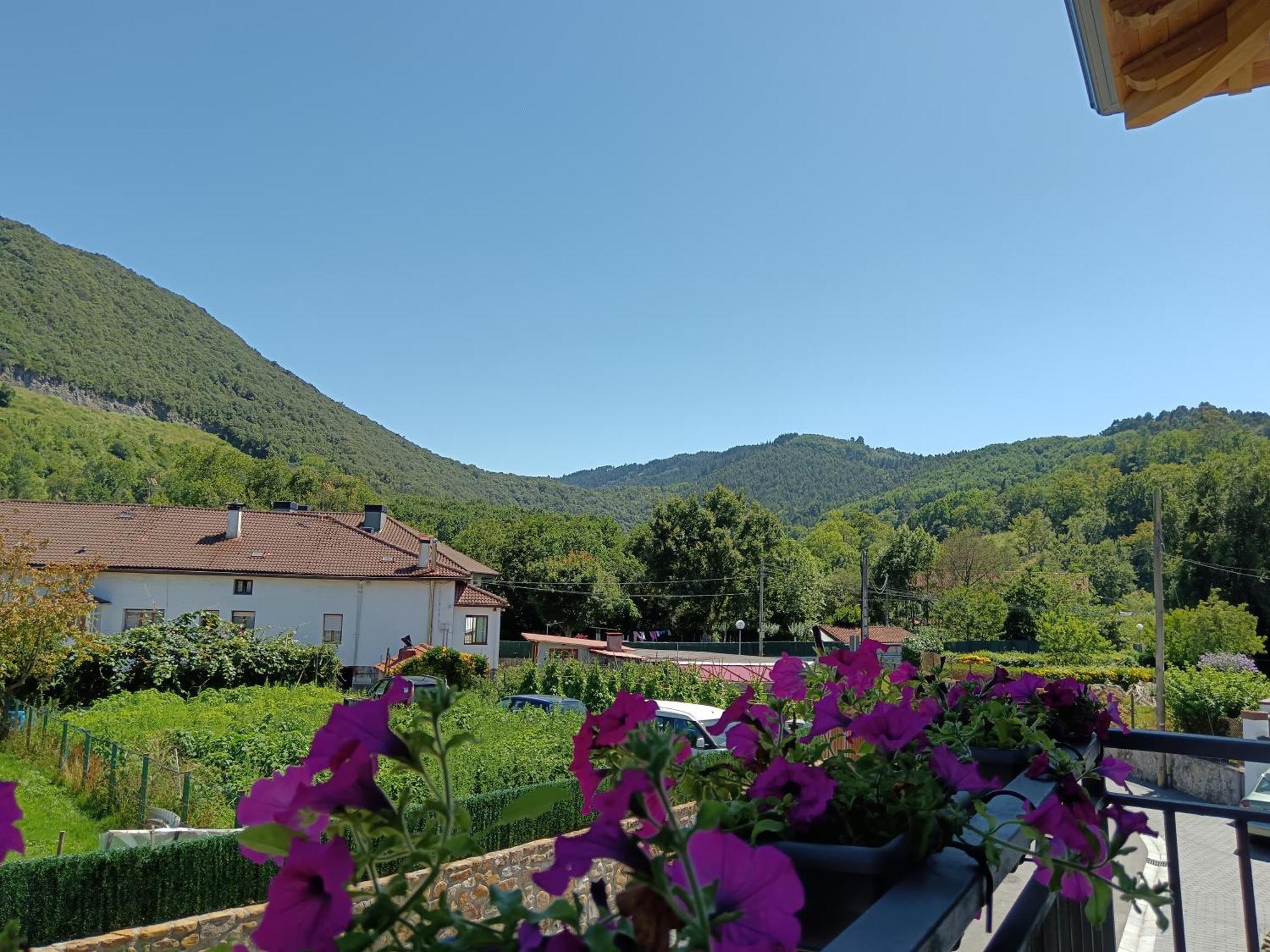 Urdaibai Mungabe Apartment Busturia Bagian luar foto